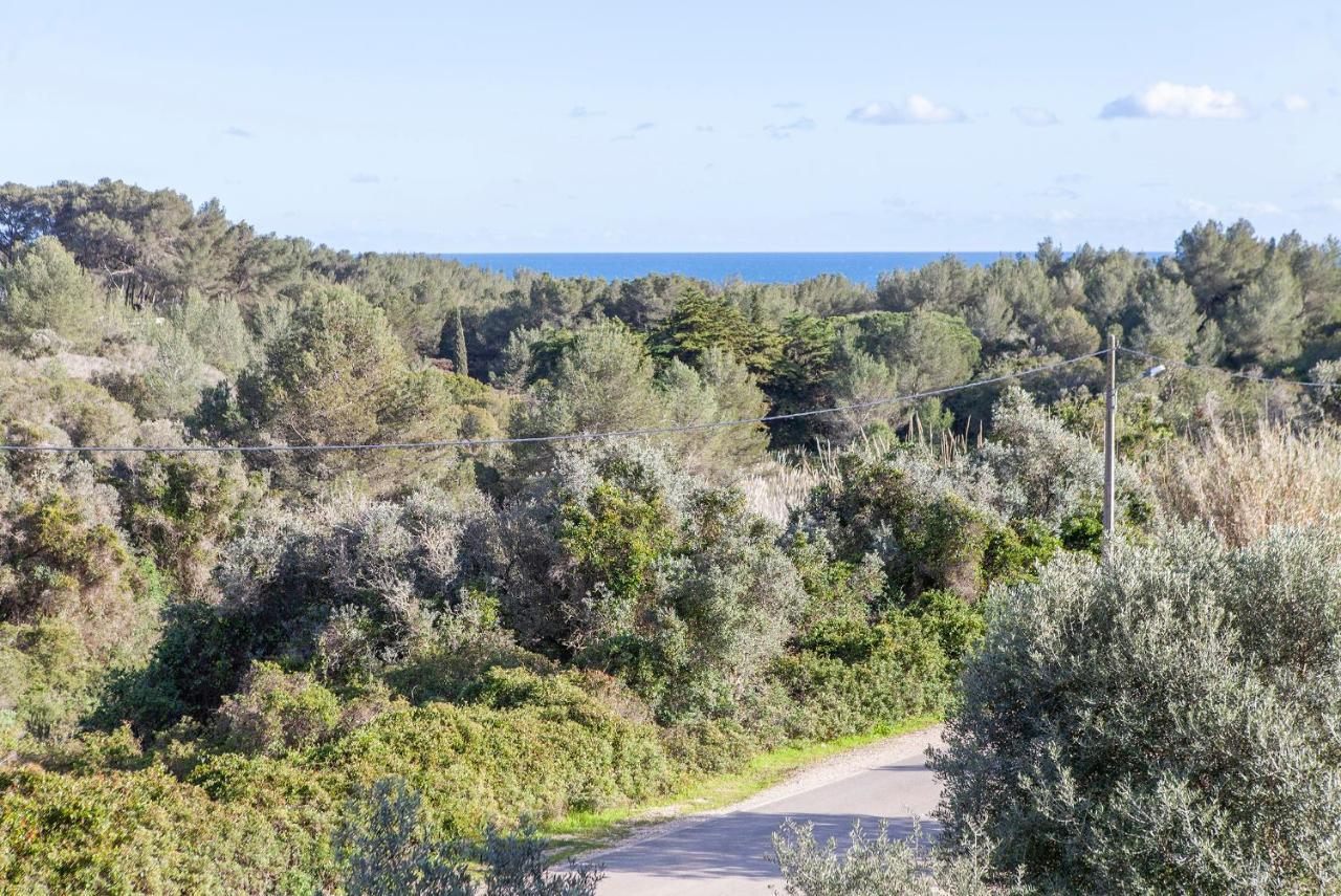 B75 - Casa Delfim In Alfanzina Carvoeiro Leilighet Carvoeiro  Eksteriør bilde
